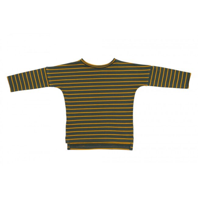 Long Sleeve green / yellow stripes 1.3