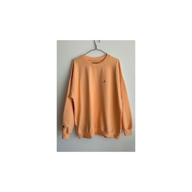 Over Blouse peach